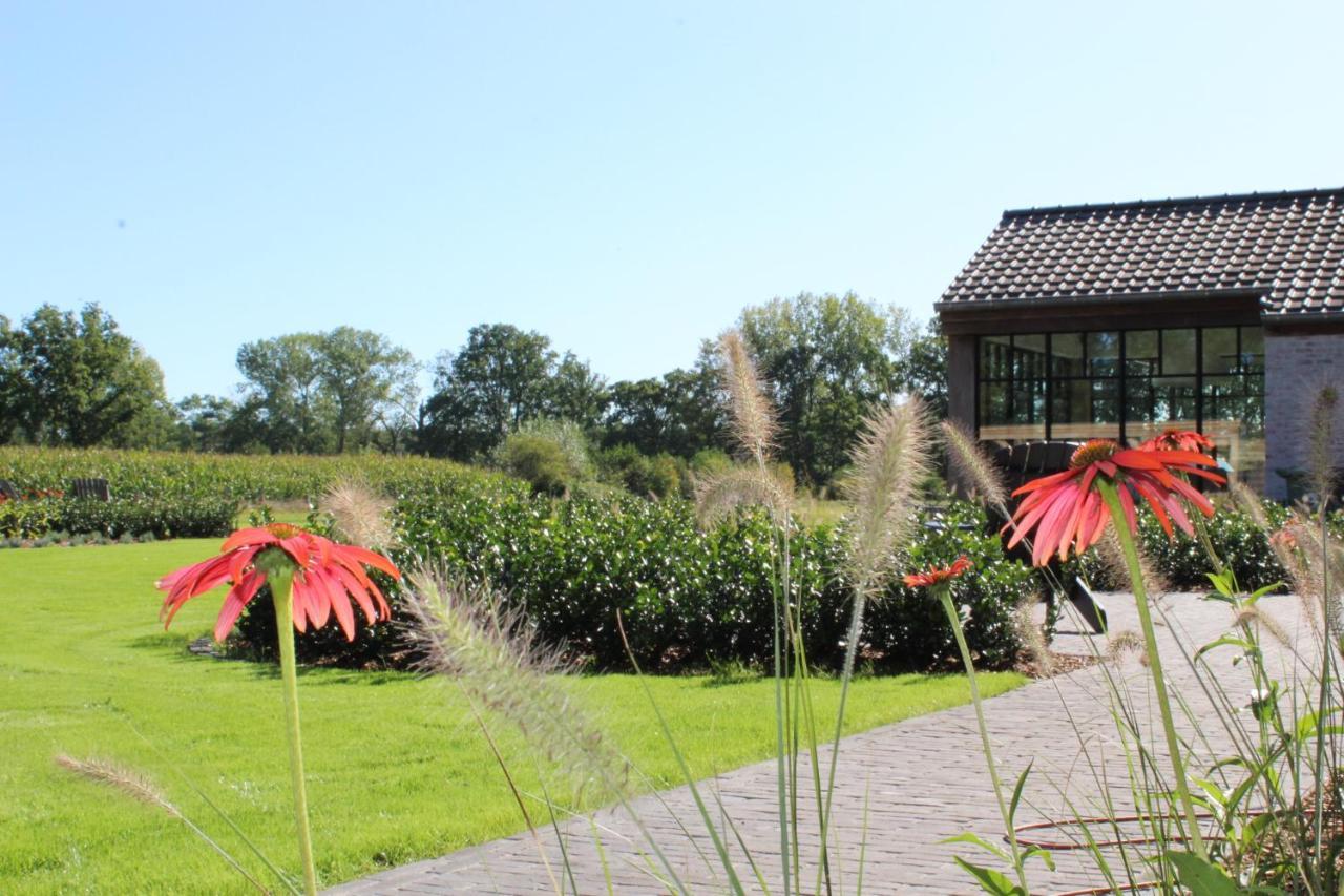 Elvier B&B Mol Exterior photo